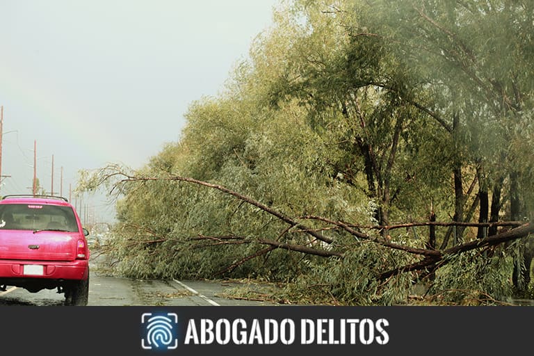 obstaculización de las vías